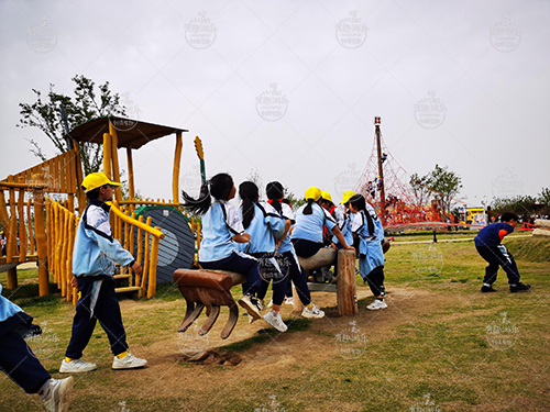 1699664381170161.jpg (1).jpg