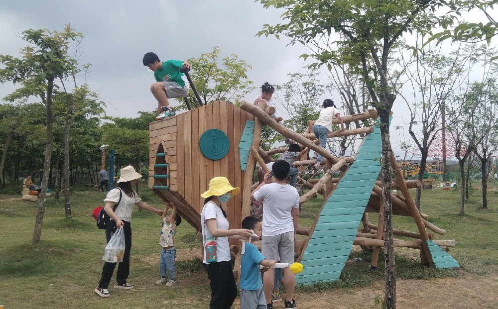 1737193236104001.jpg 1737193236104001.jpg