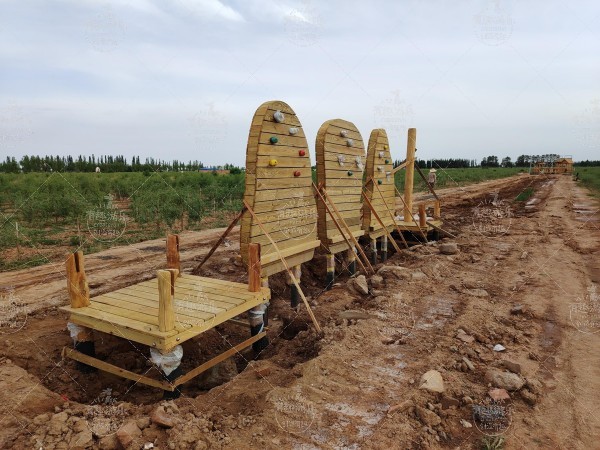 1739521951558601.jpg 41080_第11題_郭威_20240526_IMG_20240526_180338_4(1).jpg